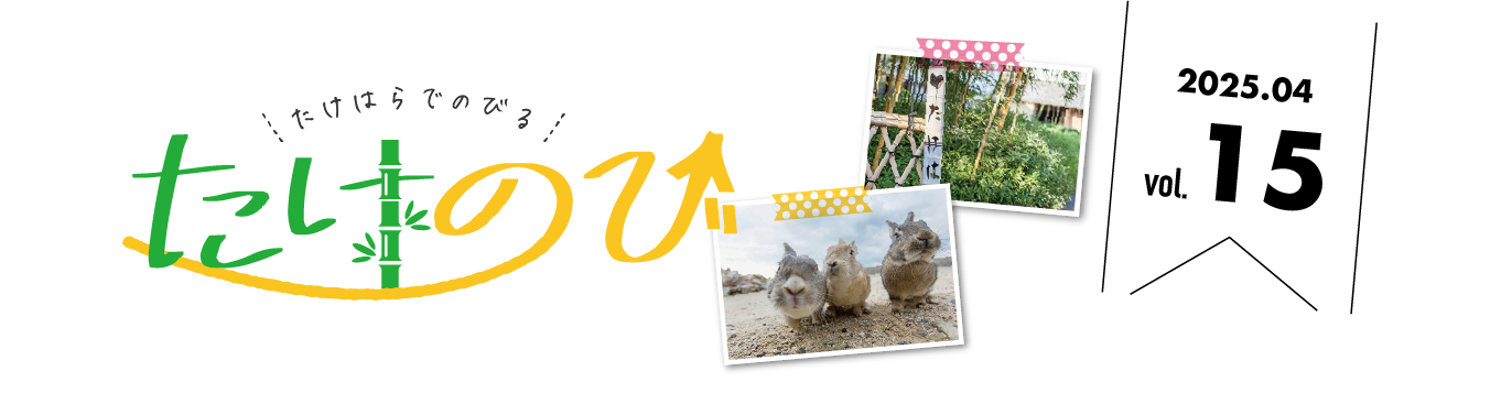 たけのびトップ