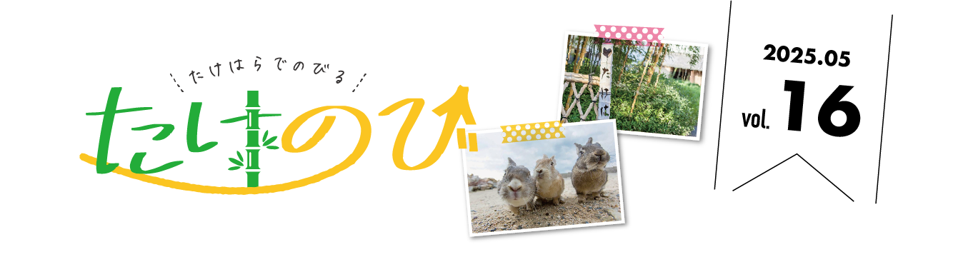 たけのびトップ