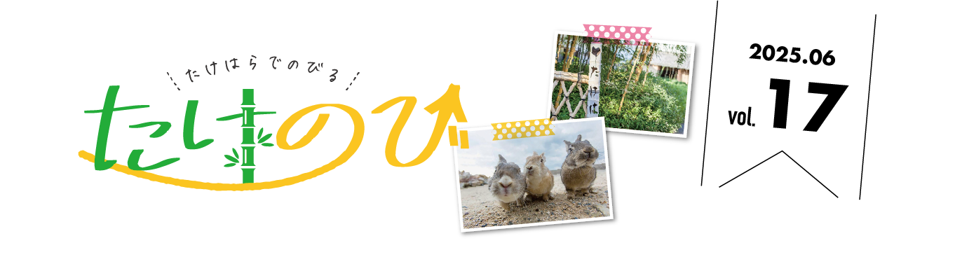 たけのびトップ