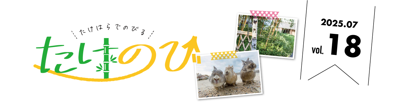 たけのびトップ