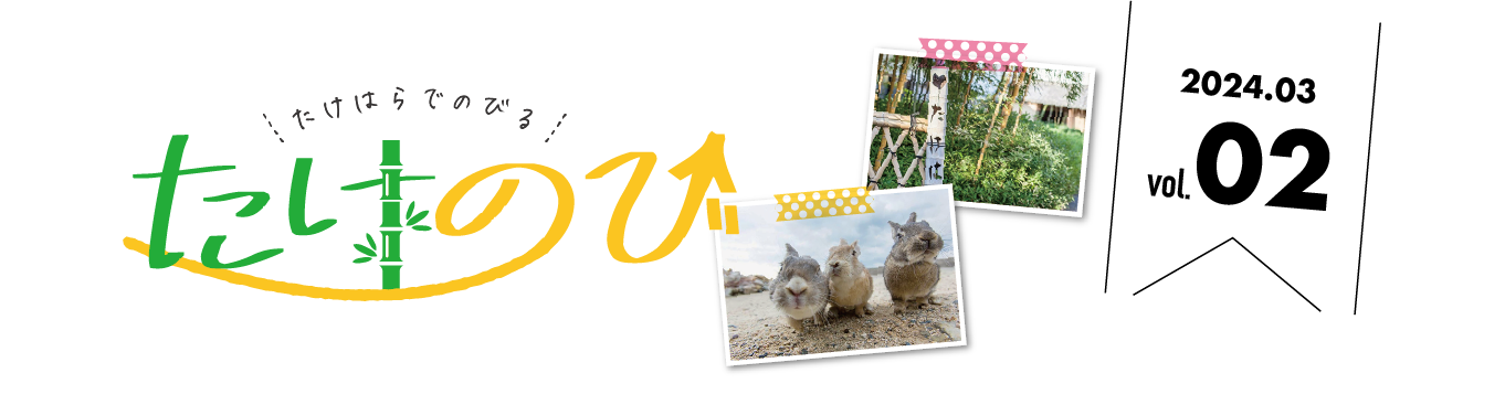 たけのびトップ