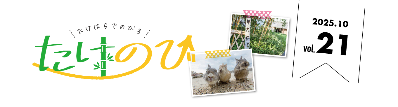 たけのびトップ